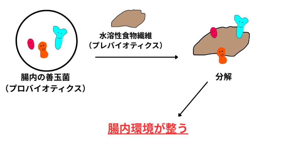 プレバイオティクスとプロバイオティクスによる腸内環境改善の仕組みを説明するイラスト